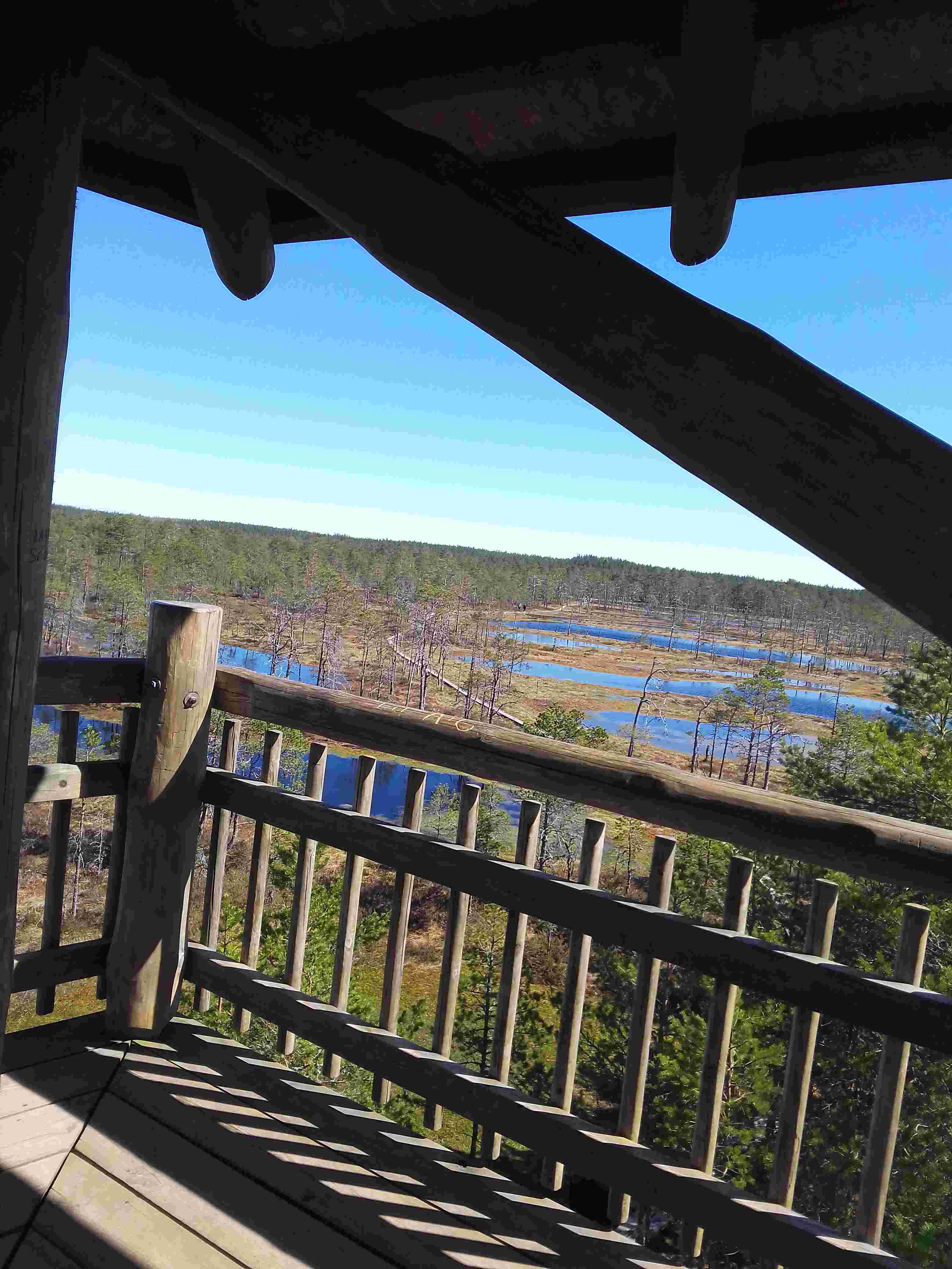 Bog swimming, farmland getaways and an Estonian immersion