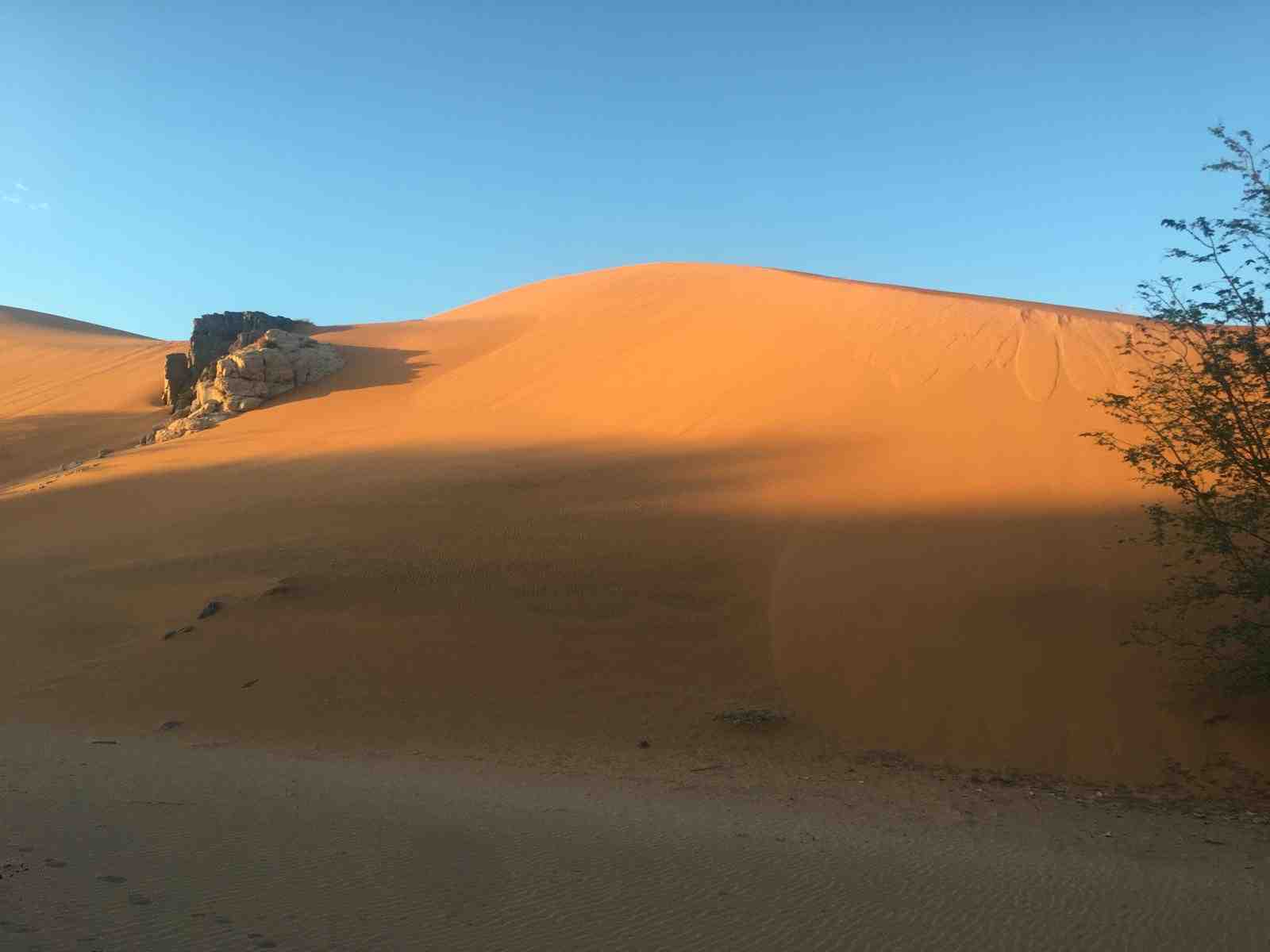 Namib Desert