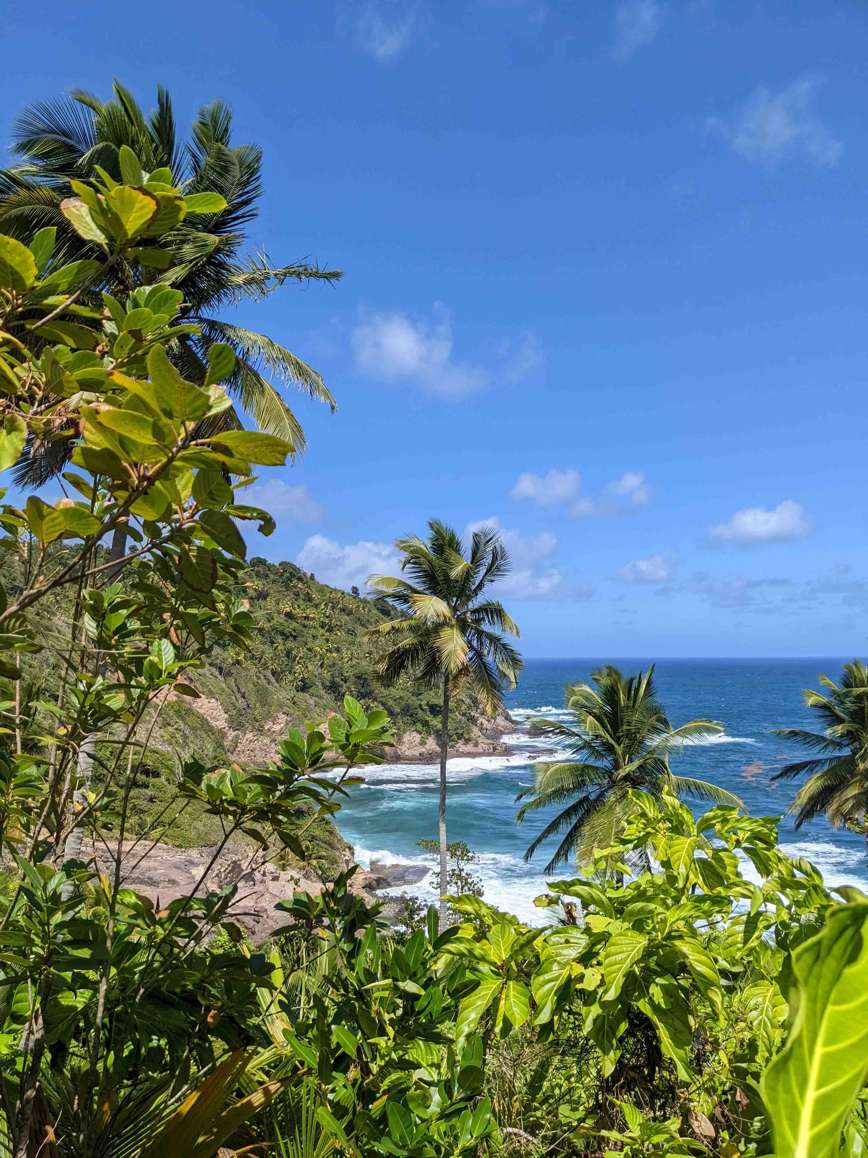 Hiking across Dominica