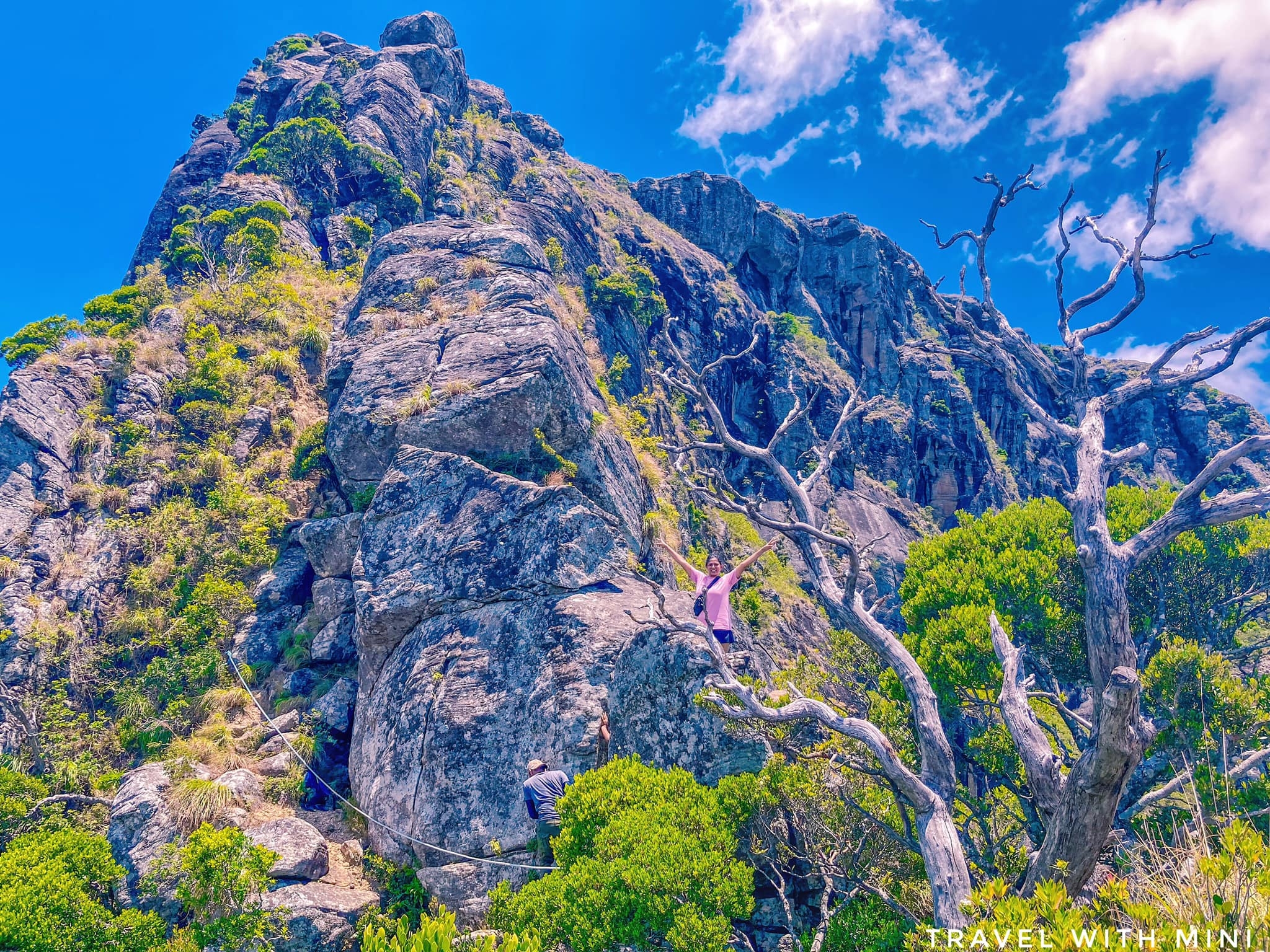 Kadiyalena waterfall