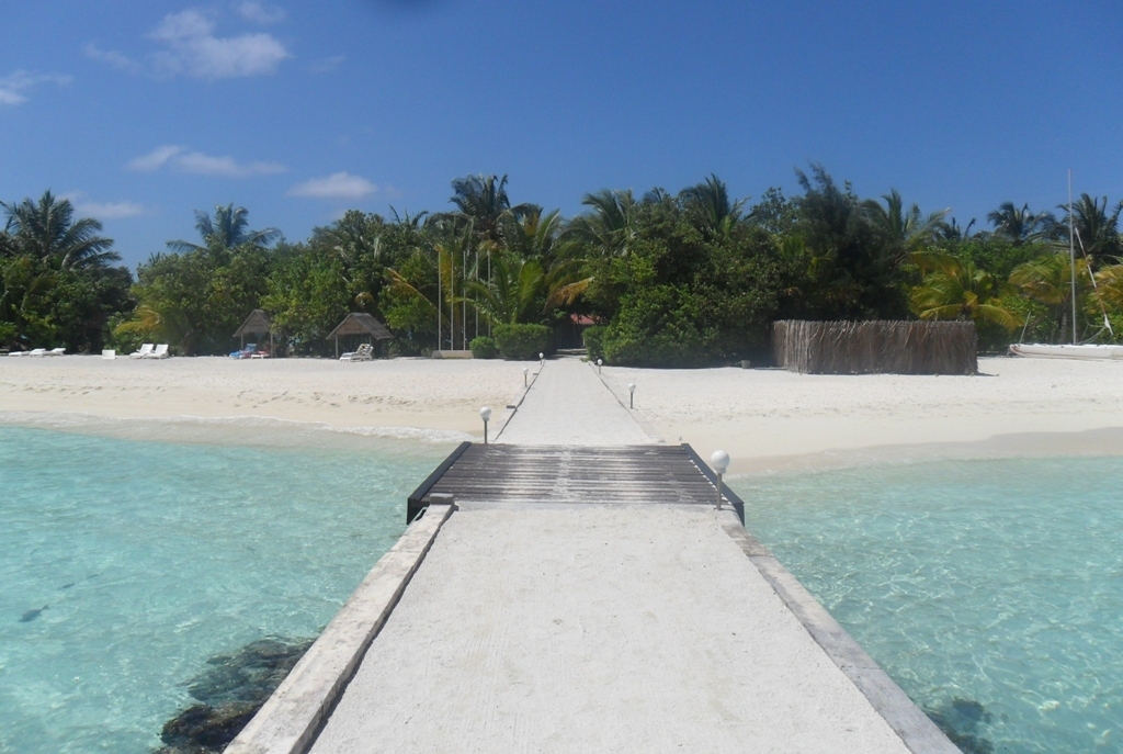 Top 5 Things to Do in the Maldives