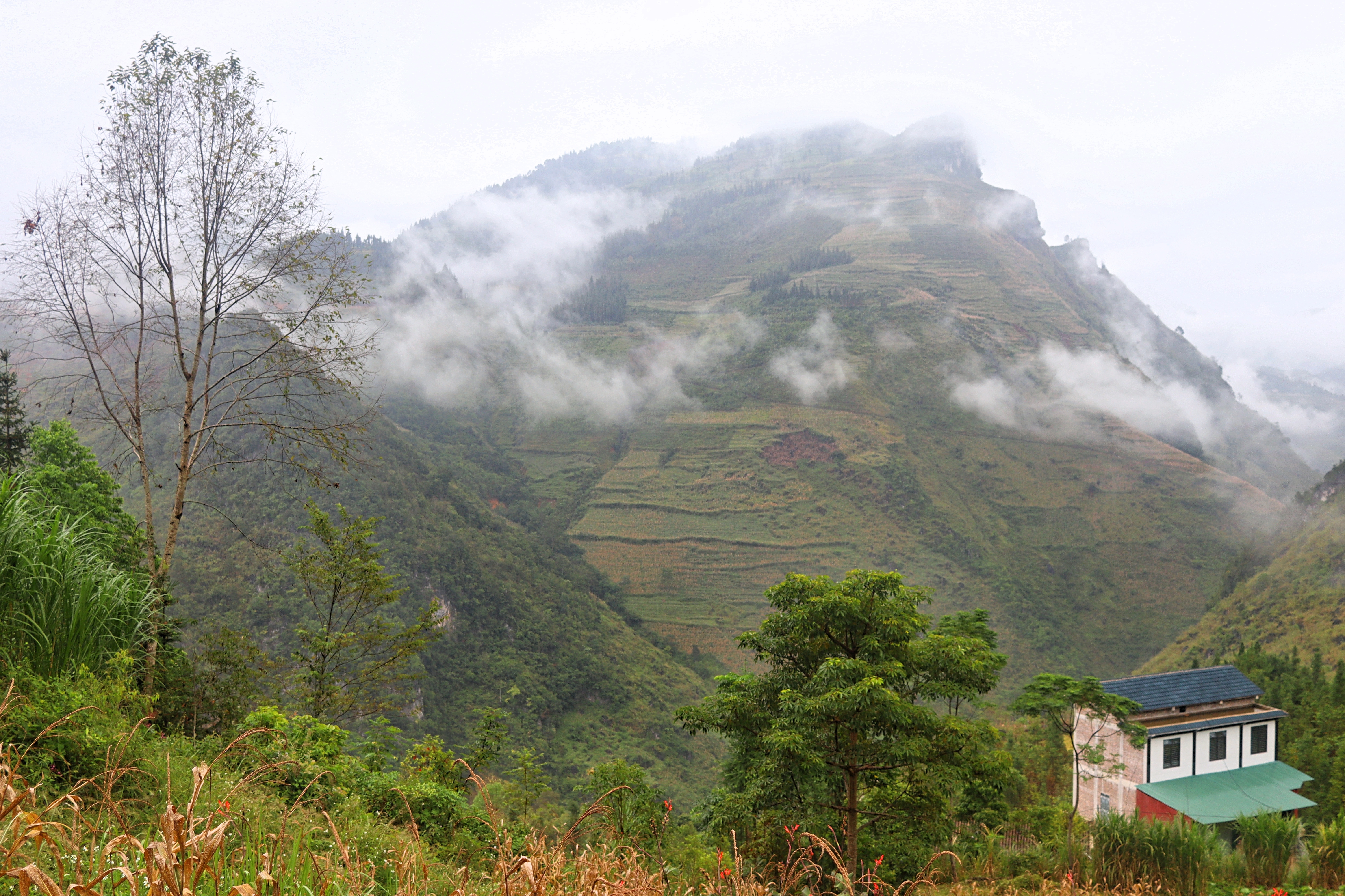 Discovering Hà Giang, Vietnam