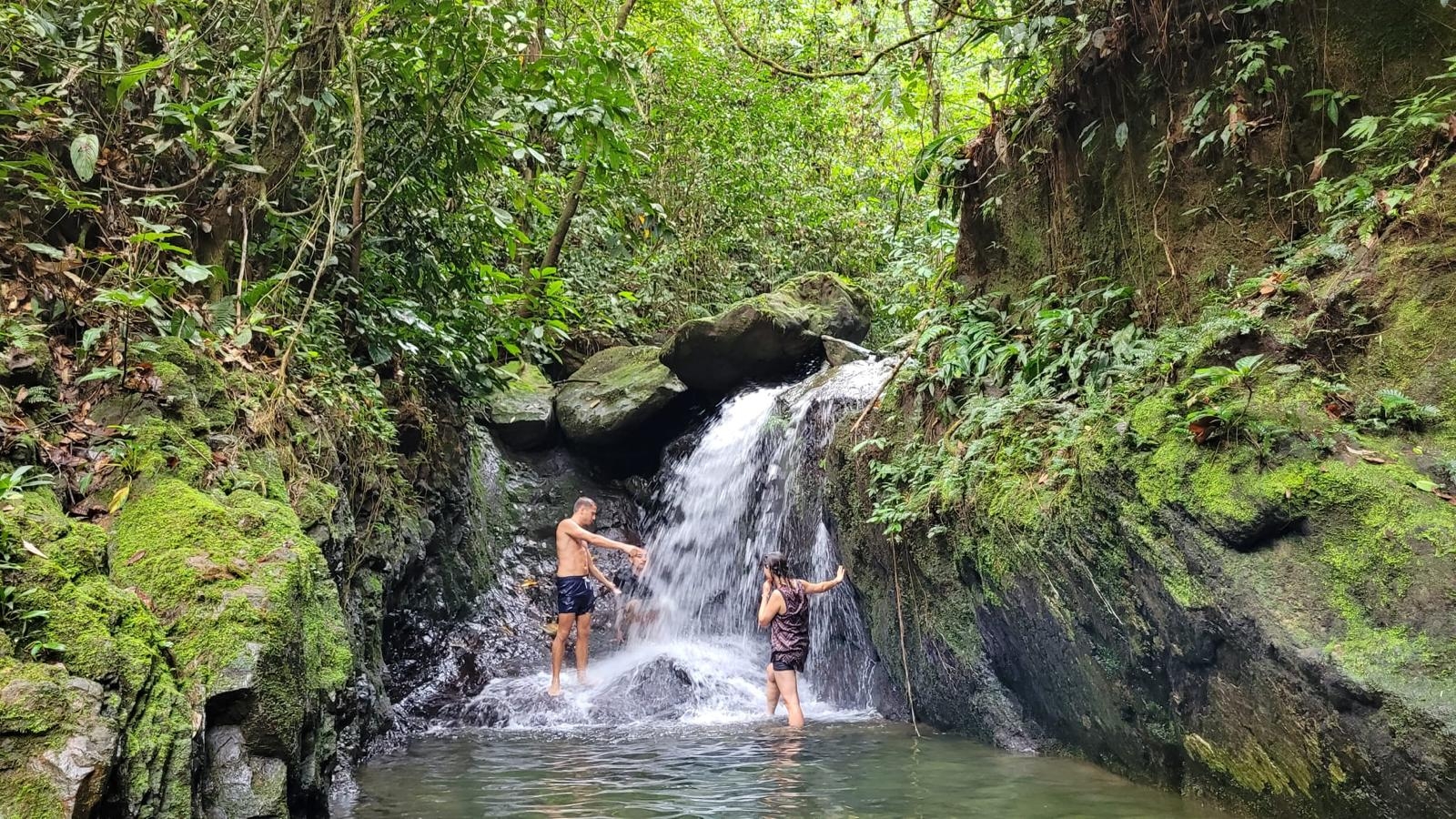 Orangutan Jungle Trekking in Sumatra