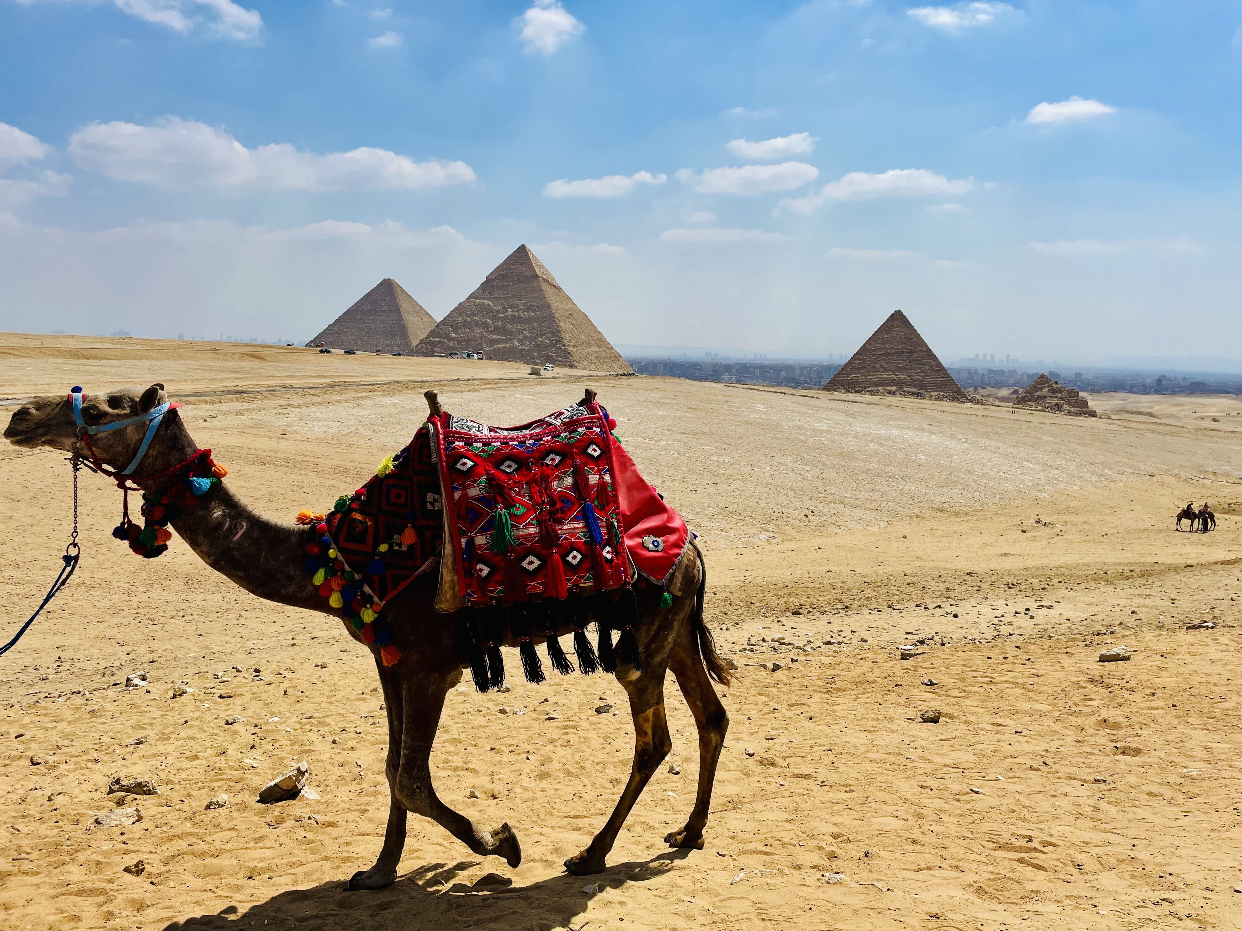 Discovering Ancient Wonders Through Egypt
