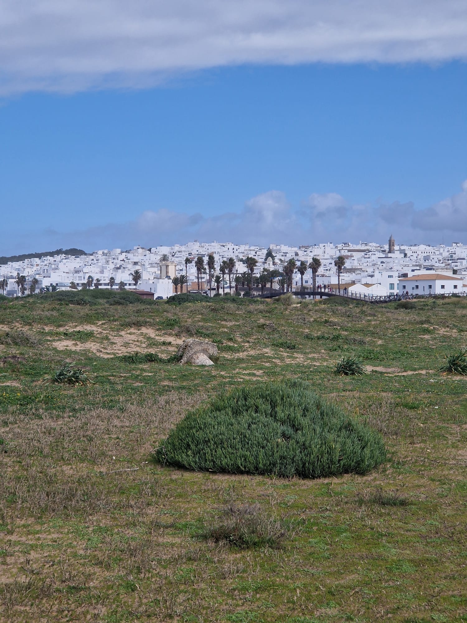 Living the Spanish Dream: A month in Andalusia 