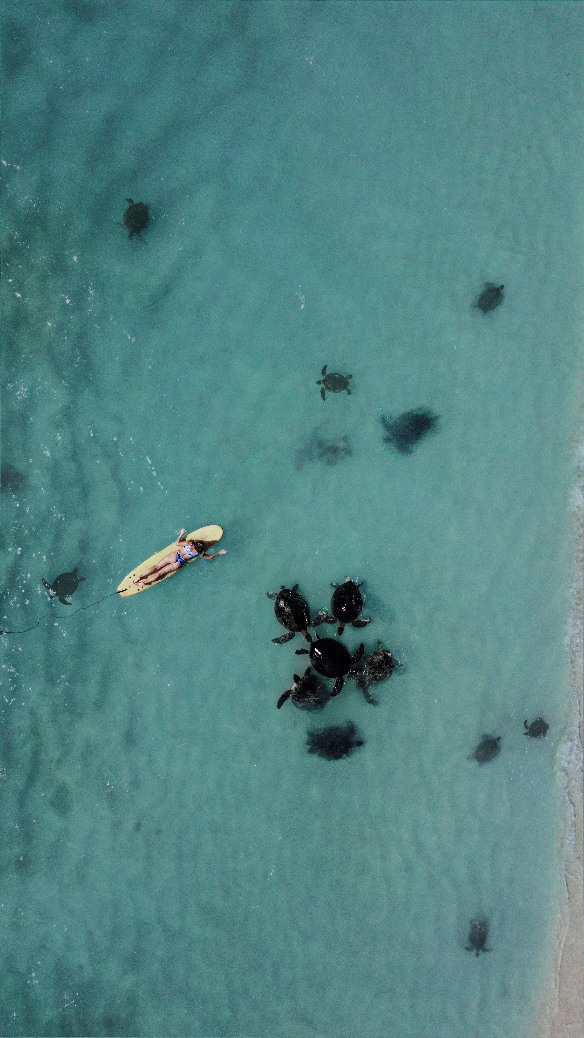 The best places in Western Australia