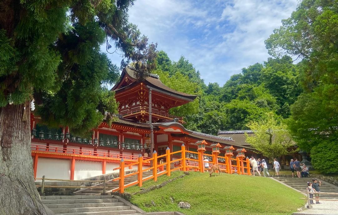 A Two Weeks Trip in Japan - Tokyo, Kyoto, and Osaka