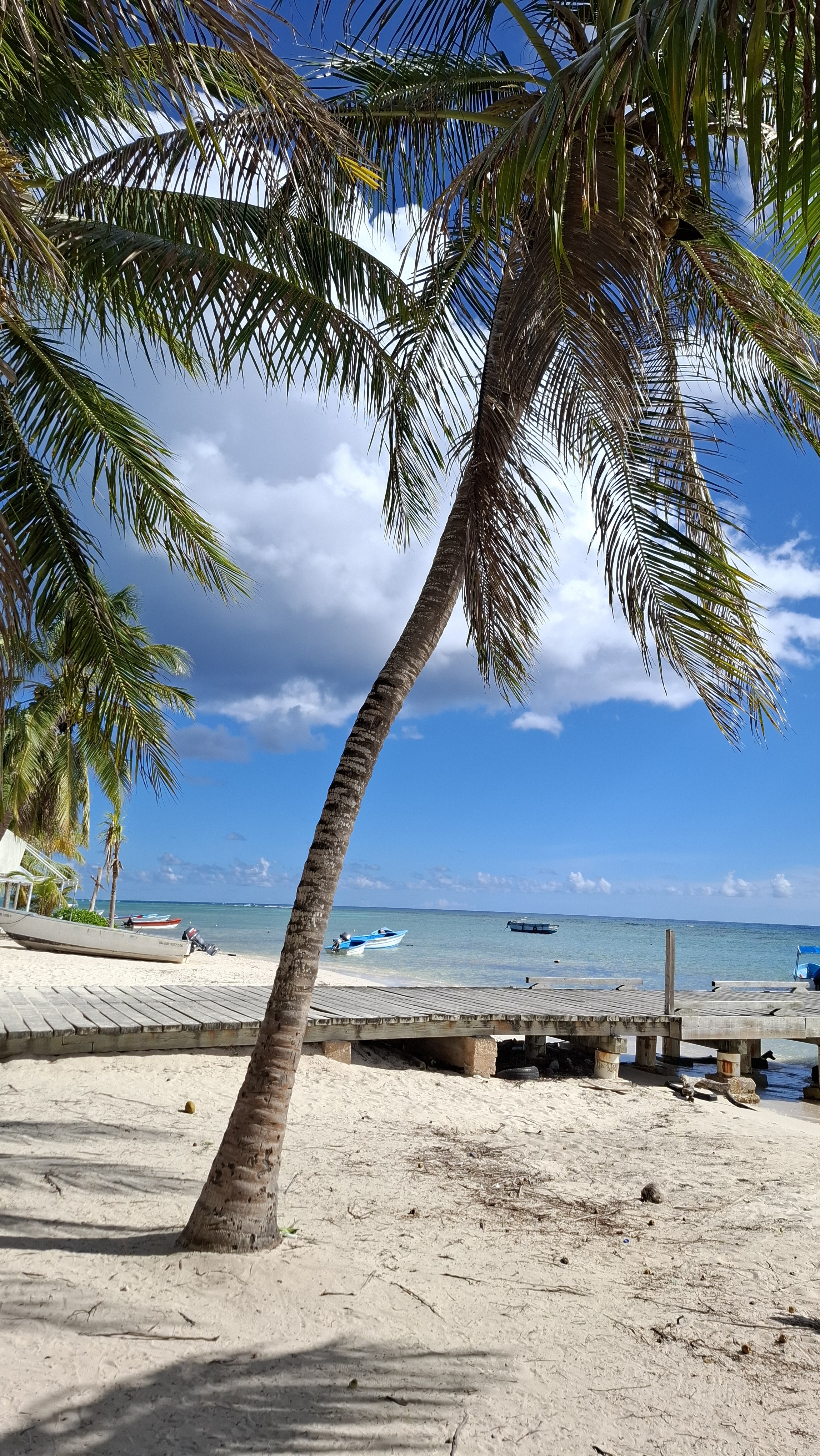 Amazing Dominicana 🇩🇴