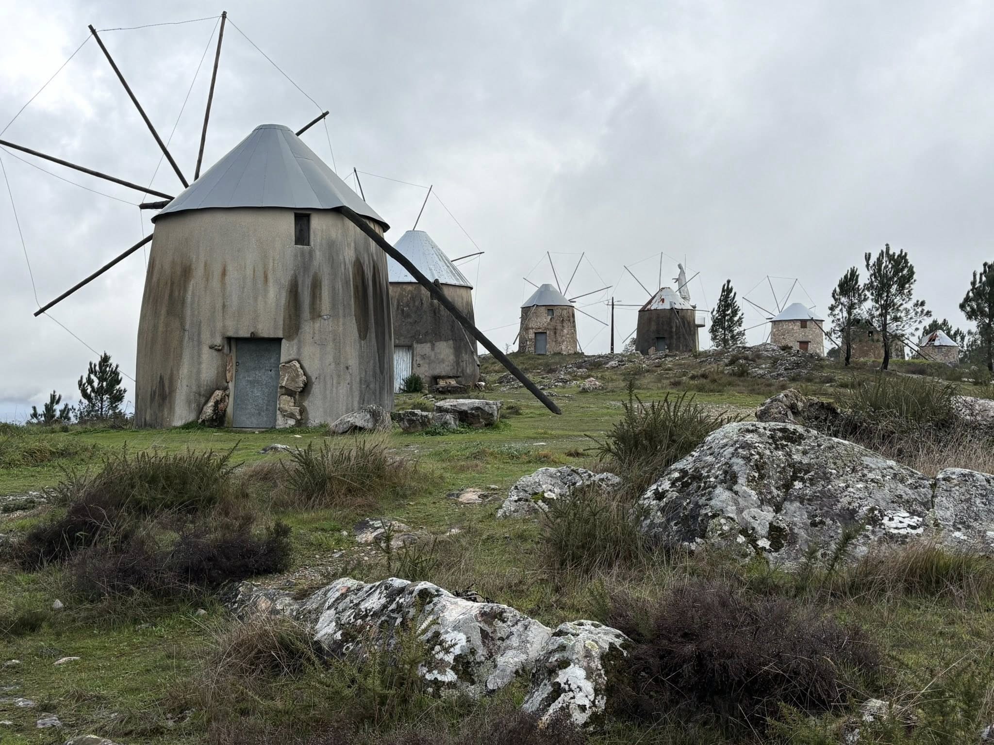 Exploring Central Portugal: Wine, Cuisine &amp; Journey to Lagos Algarve