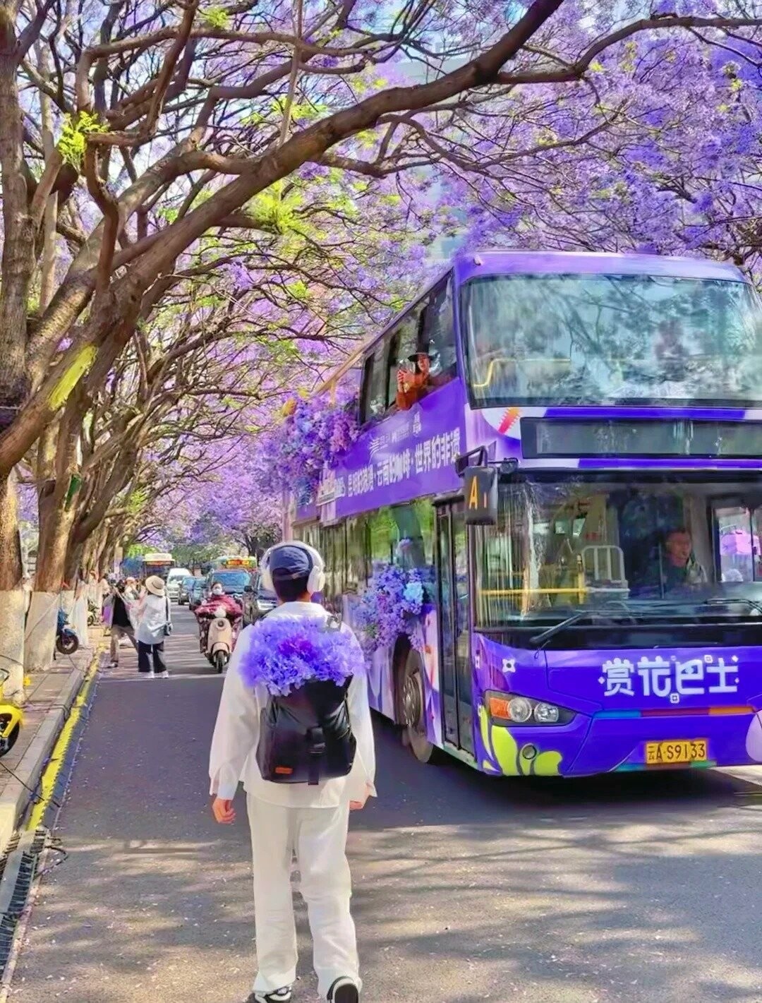 Kunming in Bloom: 6 Stunning Jacaranda Photo Spots You Can’t Miss