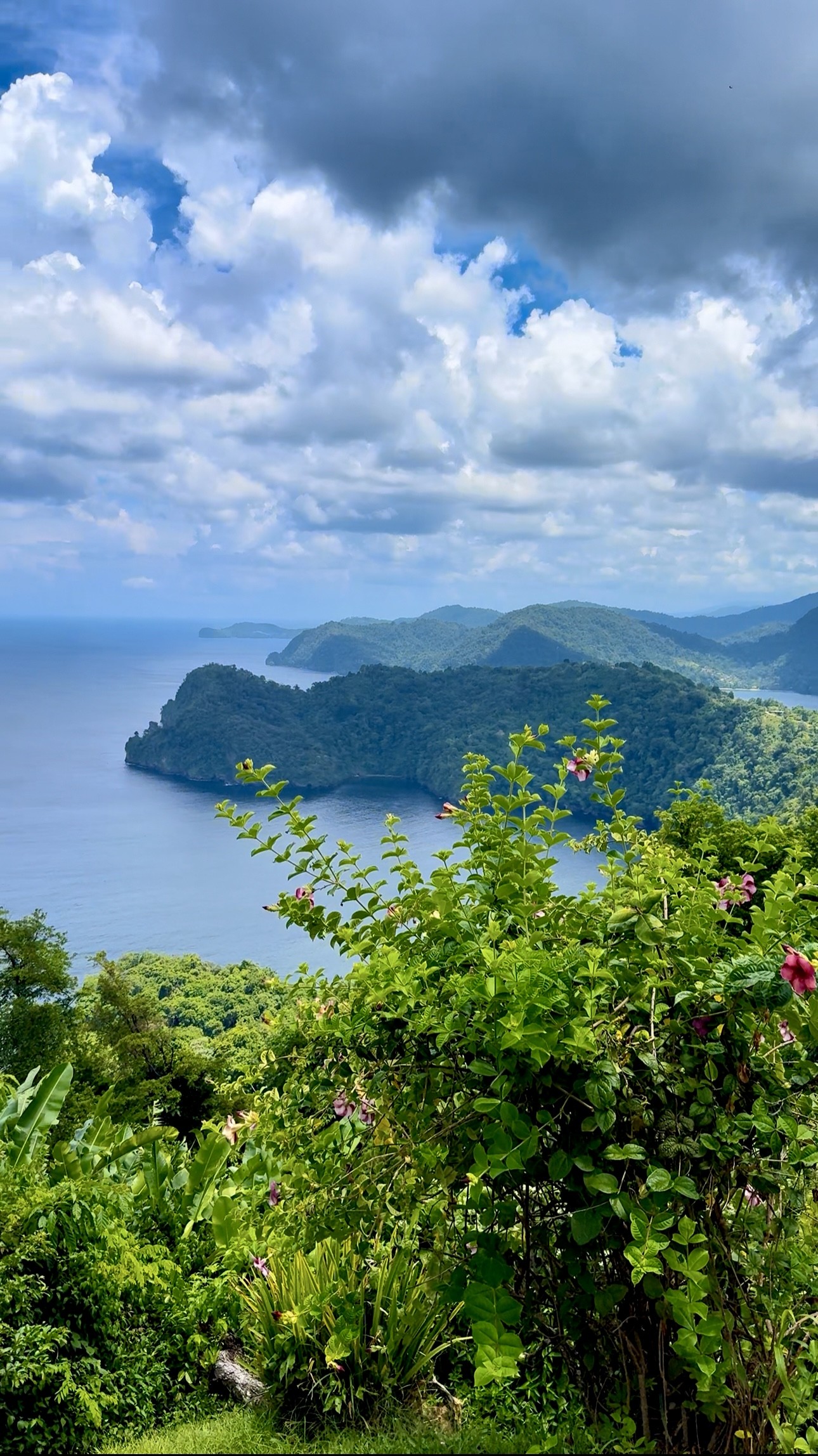 More Than a Stopover: Three Weeks in Trinidad 