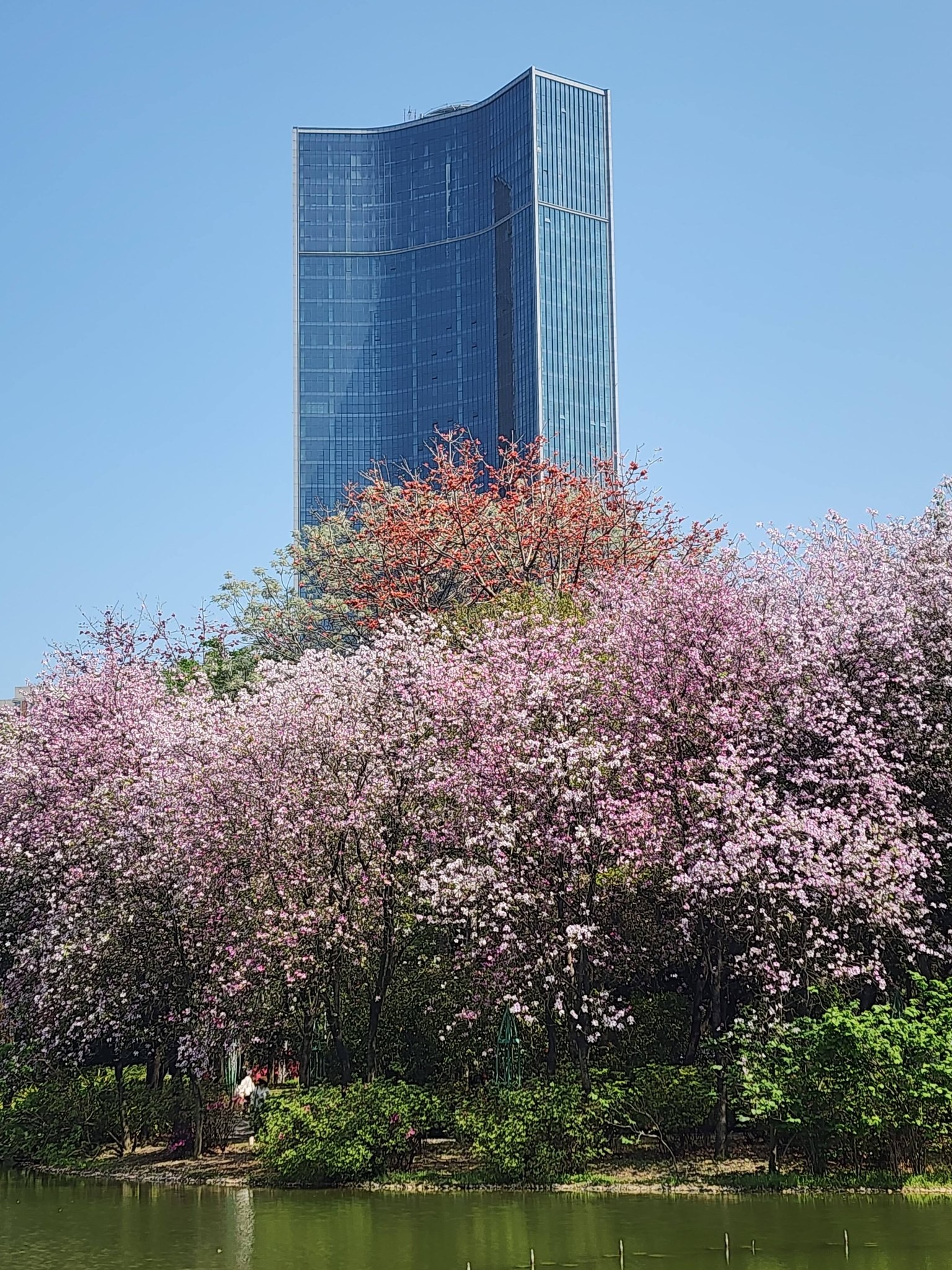 This 4-Million-Person Chinese City Feels Like a Hidden Paradise