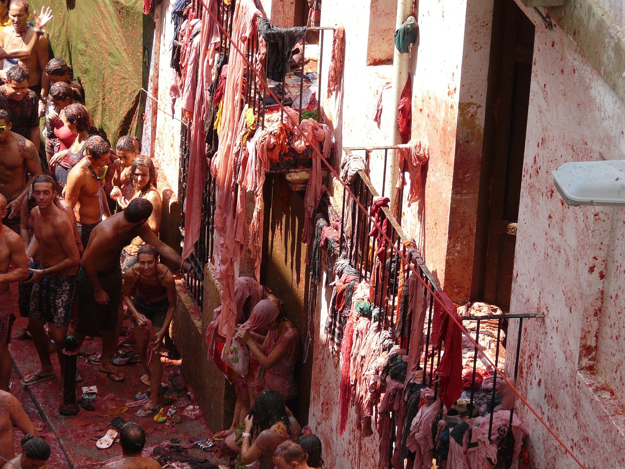 Tomatina Festival Image